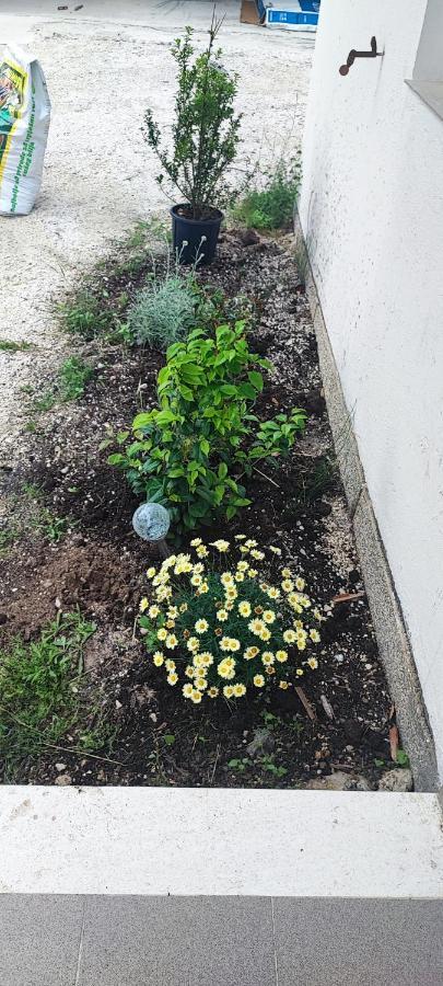 Apartman Duce Milka Villa Kültér fotó